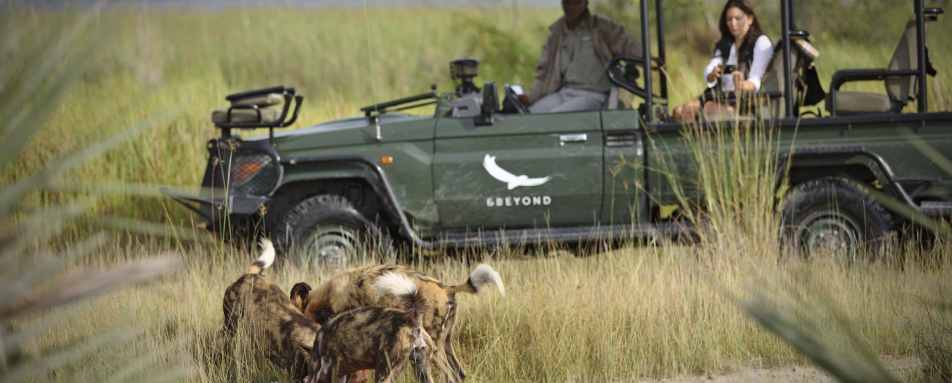 Game drives in the Okavango